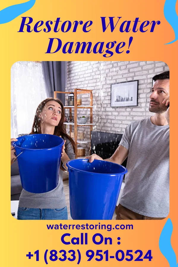 water restoration Platinum Flood Damage Specialists Castleton-on-Hudson