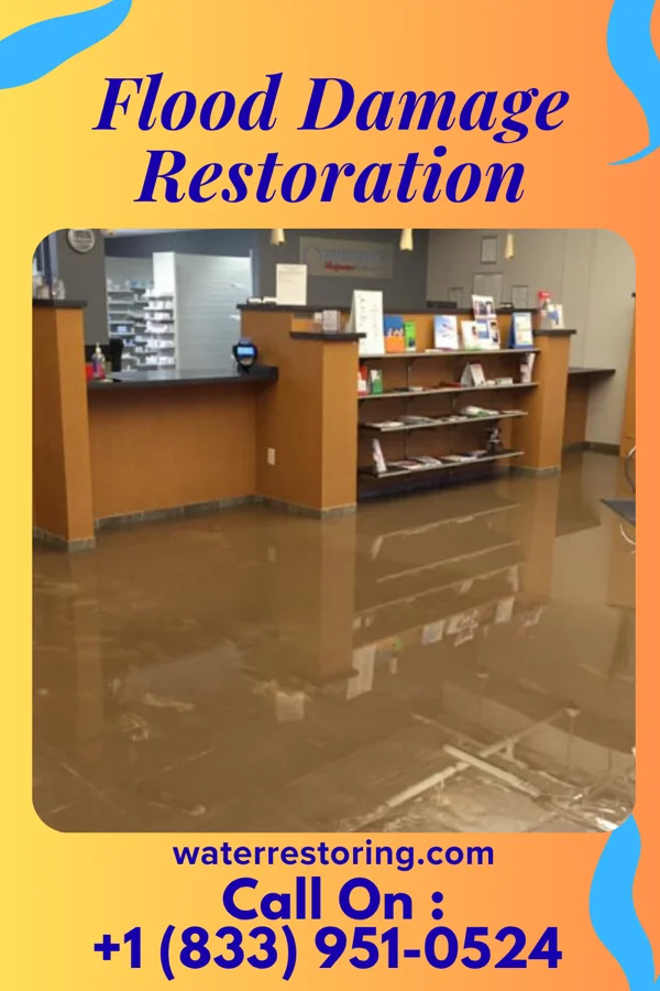 Flood Damage Restoration in Castleton-on-Hudson, NY
