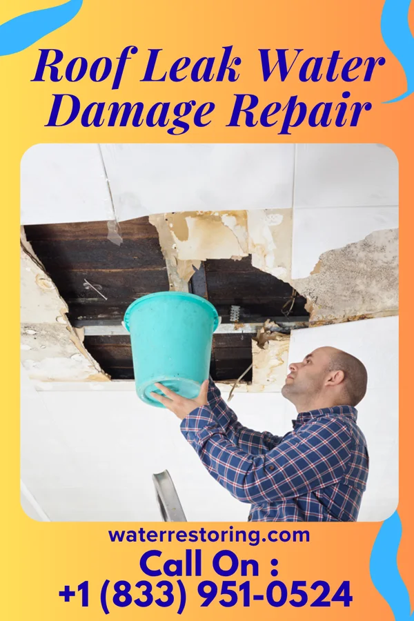 Roof Leak Water Damage Repair in Castleton-on-Hudson, NY