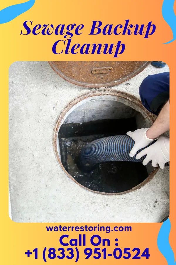 Sewage Backup Cleanup in Castleton-on-Hudson, NY